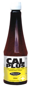 Cal Plus