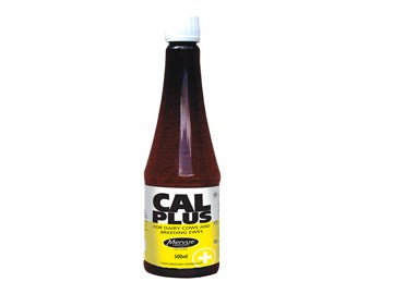 Cal Plus