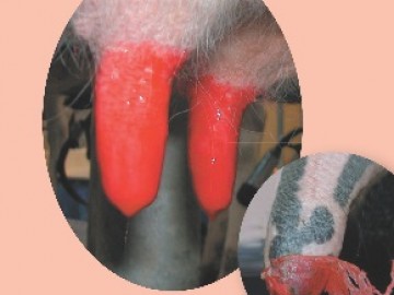 Dermacept Film
