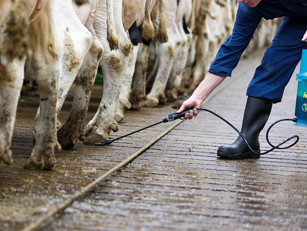 Intra Hoof Fit Liquid