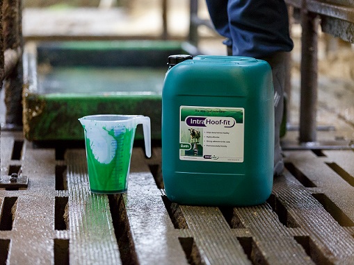 Intra Hoof fit Bath