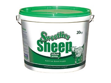  Sweetlics Sheep