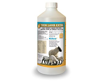  Twin Lamb Plus